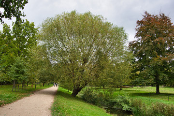 narrow footpath in the park