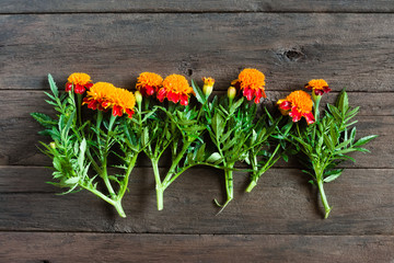 Beautiful orange marigolds on a wooden background. Natural floral background