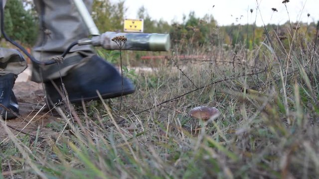 Military in a chemical protection suit measures the background radiation of mushrooms on the road, dosimetry equipment