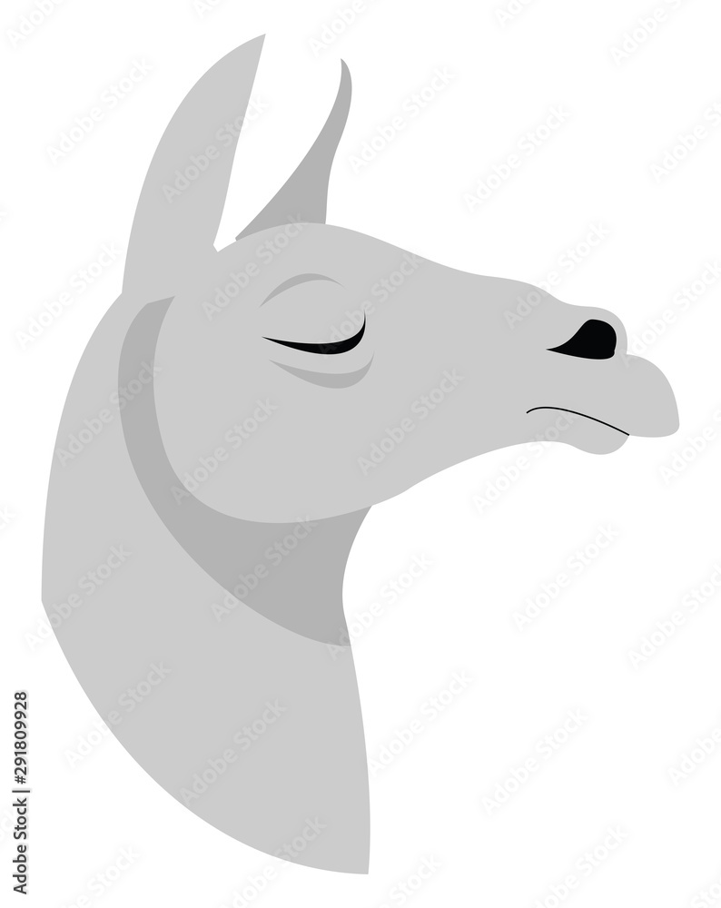 Sticker Lama, illustration, vector on white background.