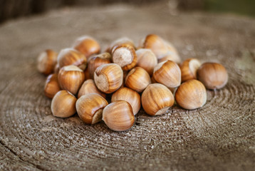 Heap of fresh ripe hazelnuts on an old tree stump. Shallow depth of field.