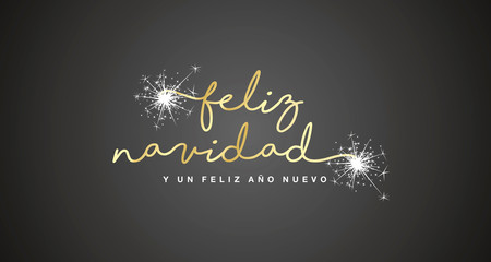 Merry Christmas and Happy New Year 2020 Spanish language handwritten text tipography firework gold white black background