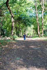 Fototapeta premium Toddler Girl Exploring Outdoors on Summer Day