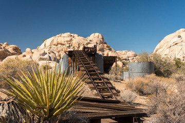 Forgotten Car in the Joshua Tree NP 01