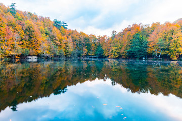 Bolu Yedigoller National Park, Turkey