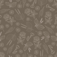 Herbs, spices and seasonings collection. Vector hand drawn seamless pattern of different medicinal herbs