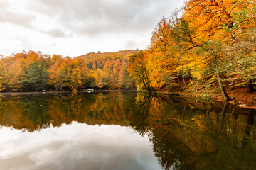 Bolu Yedigoller National Park, Turkey