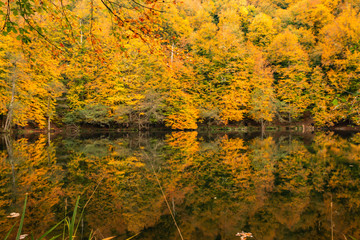 Bolu Yedigoller National Park, Turkey
