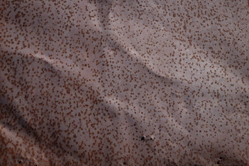 Old rusty iron metal background plate texture