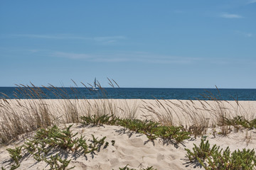 Ilha Deserta island in Faro, Portugal