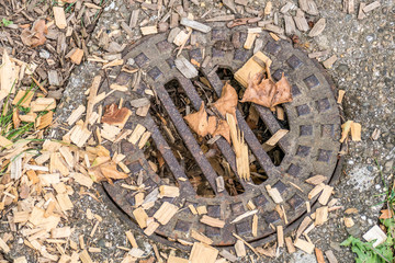 Mit Laub verstopfter Abwasserschacht