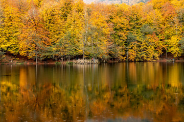 Fototapeta premium Bolu Yedigoller National Park, Turkey