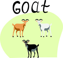 Goats vector animals isolated illustration. Concept for print, web design, cards, logo