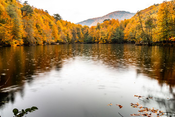 Bolu Yedigoller National Park, Turkey