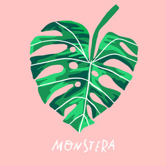 Monstera leaf plant illustration. Tropical palm branch