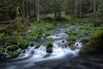 river, tatry