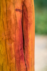 Bretterwand mit naturbelassenem Holz