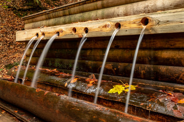 Bolu Yedigoller National Park, Turkey