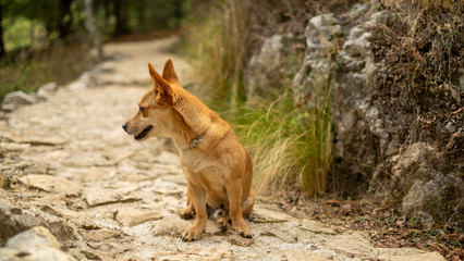 Sit at the end of the path