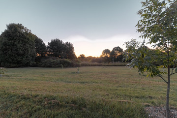 Sunrise at open field with tree line