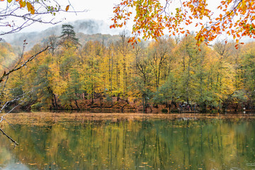 Bolu Yedigoller National Park, Turkey