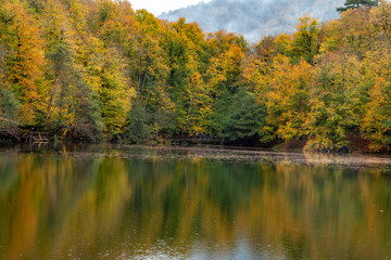 Fototapeta premium Bolu Yedigoller National Park, Turkey