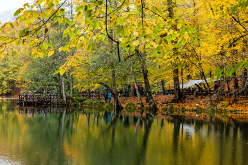 Bolu Yedigoller National Park, Turkey