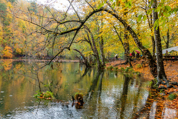 Bolu Yedigoller National Park, Turkey