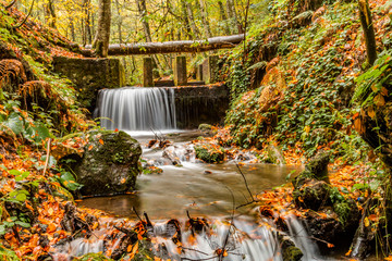 Bolu Yedigoller National Park, Turkey