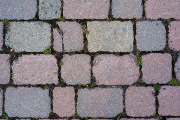 Texture Strada Antica in Mattoni con erba 