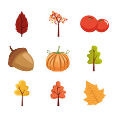 bundle of autumn season icons