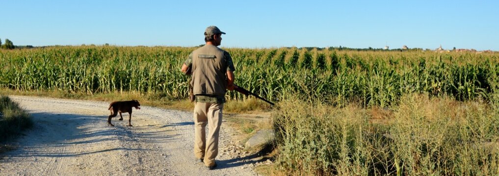 cazador cazando con un perro de caza en un d&iacute;a soleado
