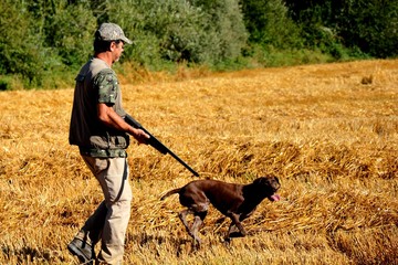 cazador cazando con un perro de caza en un día soleado