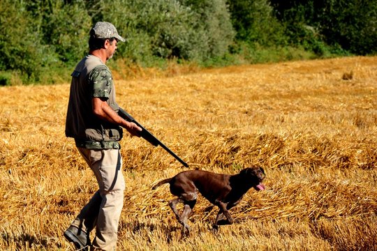cazador cazando con un perro de caza en un d&iacute;a soleado