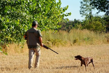 cazador cazando con un perro de caza en un día soleado