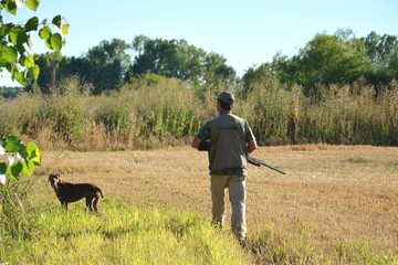 cazador cazando con un perro de caza en un día soleado