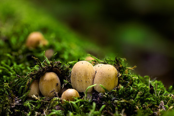 Just emerging