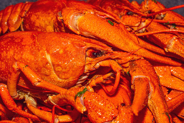 Freshly boiled red crayfish close-up. Traditional Russian beer snack. Lobster in the market.