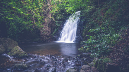 Waterfall in forest