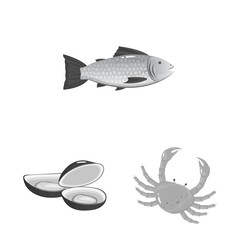 Vector design of seafood and healthy sign. Collection of seafood and ocean vector icon for stock.