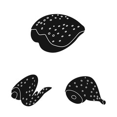 Isolated object of restaurant and agriculture symbol. Set of restaurant and raw vector icon for stock.