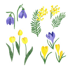 Fototapeta na wymiar Set of yellow and purple spring flowers isolated on white. Vector watercolor floral collection.