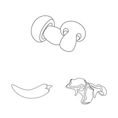 Vector illustration of seasonin and ingredient sign. Set of seasonin and aroma vector icon for stock.