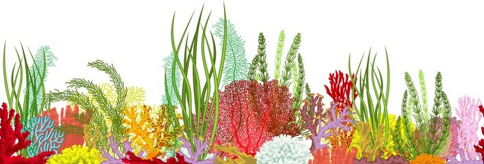 Vector underwater coral reef horizontal  seamless pattern. Undersea bottom texture. © Save Jungle