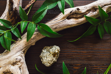 Fallen Branch and Pyrite