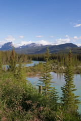 Wild and wonderful Banff National Park Canada