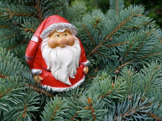 Santa Claus in the fir forest.  A cute little garden gnome in Santa Claus costume hides in the...