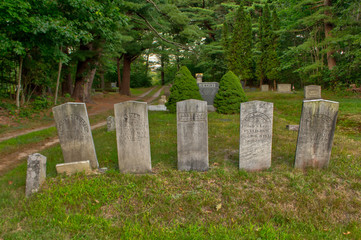 Old Graves in a Row