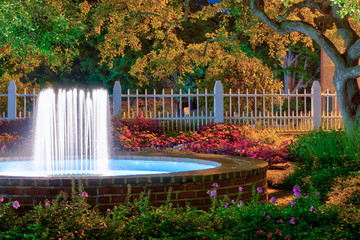 Fountain in Park Garden at Night