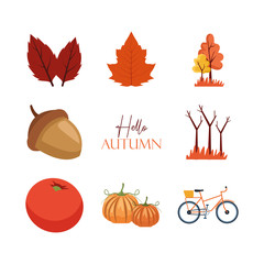 bundle of autumn season icons